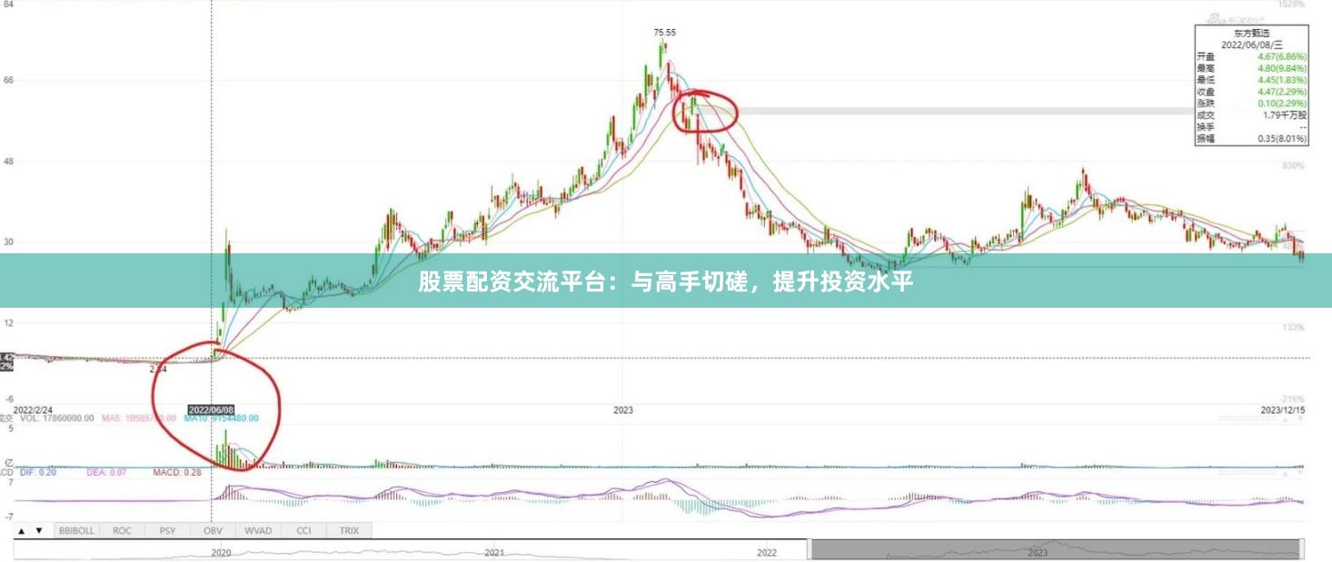 股票配资交流平台：与高手切磋，提升投资水平