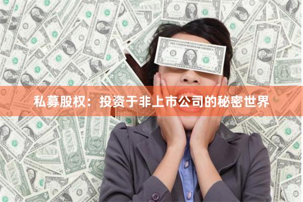 私募股权：投资于非上市公司的秘密世界