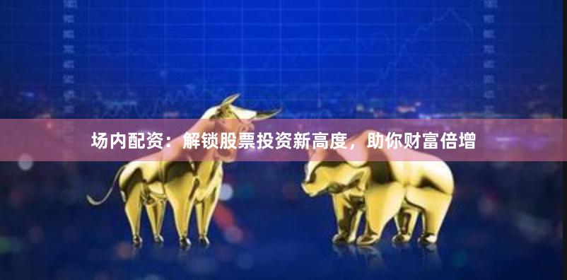 场内配资：解锁股票投资新高度，助你财富倍增